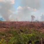 BPBD Kalbar Prioritaskan Patroli Karhutla di Daerah Rawan Selama Musim Kemarau