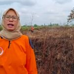 Karhutla di Rasau Jaya Kubu Raya Masuk Hari Ketiga, BPBD Kalbar Fokus Cegah Api Merambat ke Permukiman
